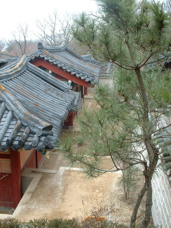 韓國龍仁市．大長今主題公園