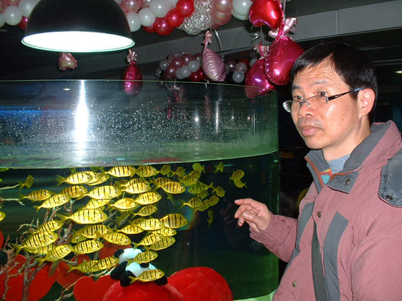 首爾 COEX Mall 水族館