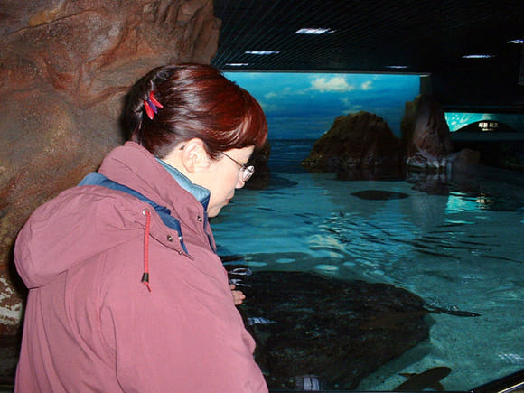 首爾 COEX Mall 水族館