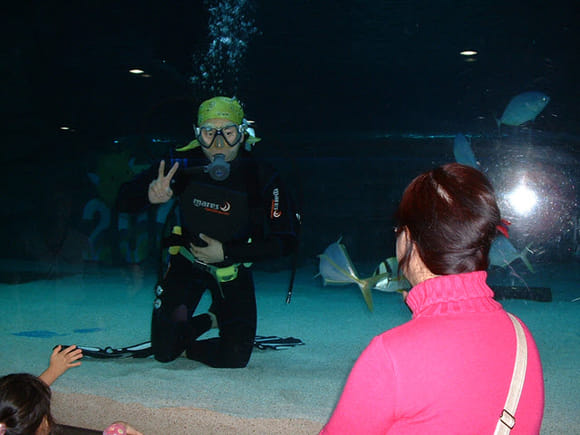 首爾 COEX Mall 水族館