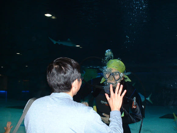 首爾 COEX Mall 水族館