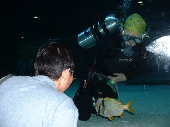 首爾 COEX Mall 水族館