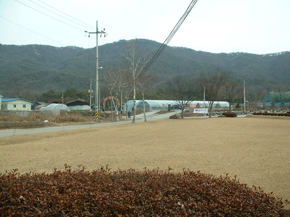 韓國龍仁市．大長今主題公園步行往巴士站